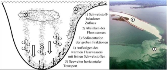 Rhein Zufluss