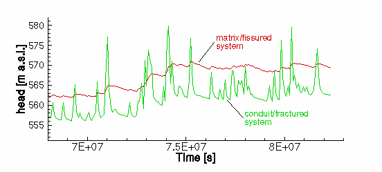 Piezometric Heads in a Double Continuum Model