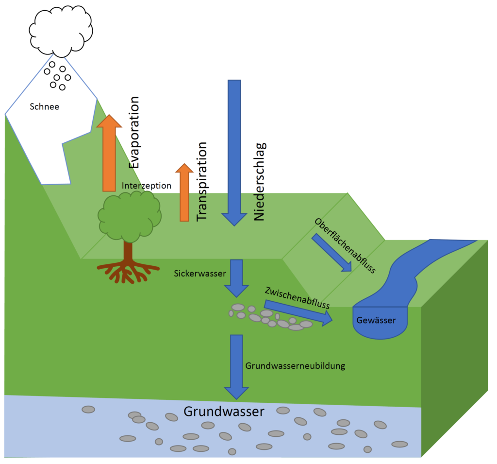 Schematische darstellung des Wasserhaushalts