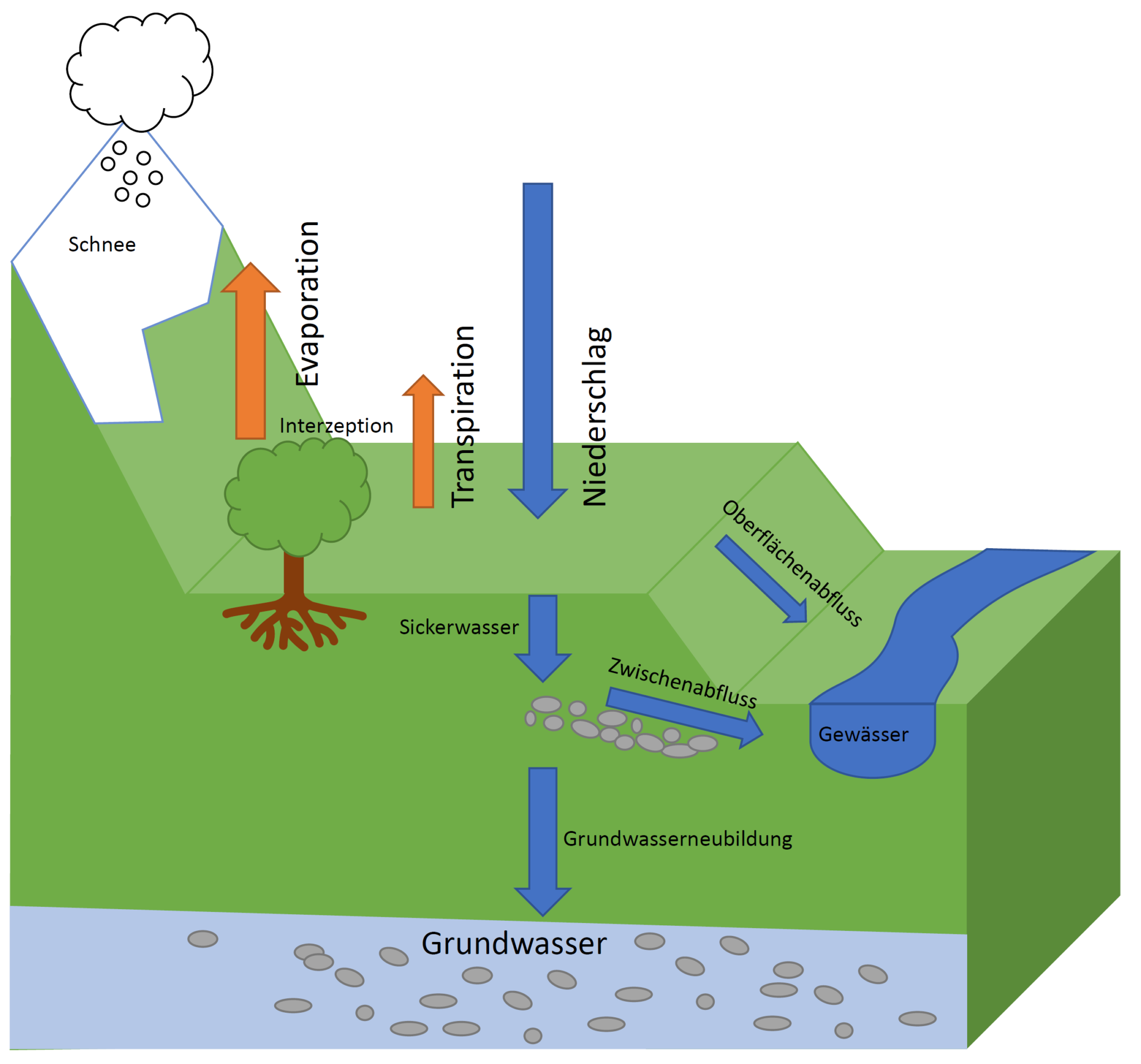 Wasserhaushalt – Ingenieurgesellschaft Prof. Kobus und Partner GmbH