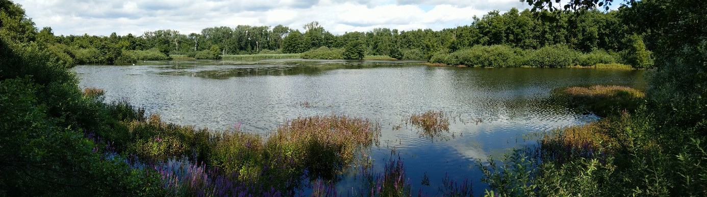 Moore 1